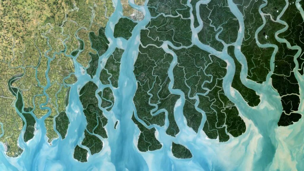 Delta do Ganges Ilha Talpatti
