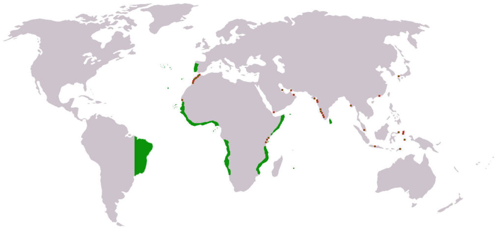 Império Português 1500